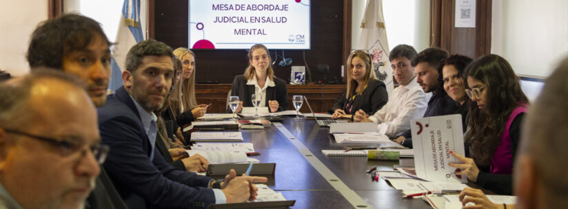 Segunda reunión de la Mesa de Trabajo Permanente de Salud Mental