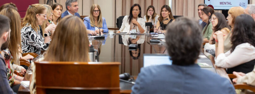 Mesa de abordaje Judicial en Salud Mental